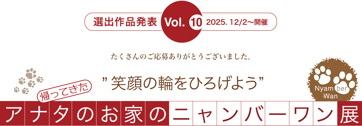 アナタのお家のニャンバーワン展