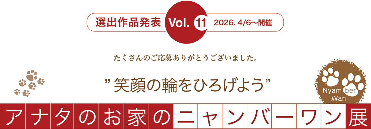 アナタのお家のニャンバーワン展