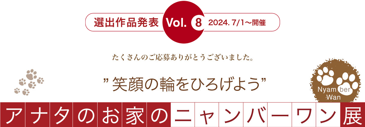 アナタのお家のニャンバーワン展