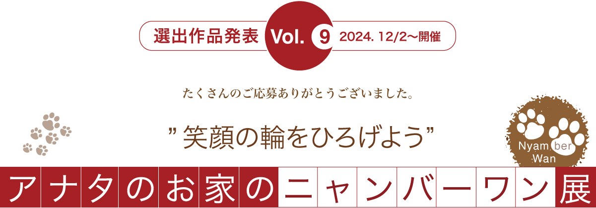 アナタのお家のニャンバーワン展