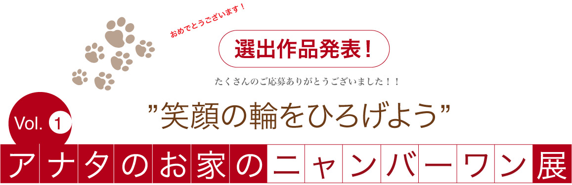 アナタのお家のニャンバーワン展