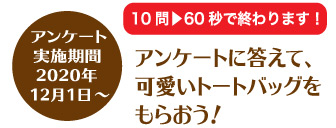 アンケート実施期間