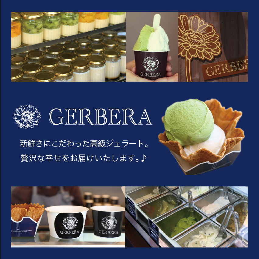 GERBERA_shop image