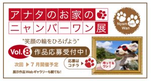 アナタのお家のニャンバーワン展