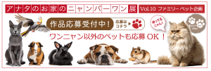 アナタのお家のニャンバーワン展